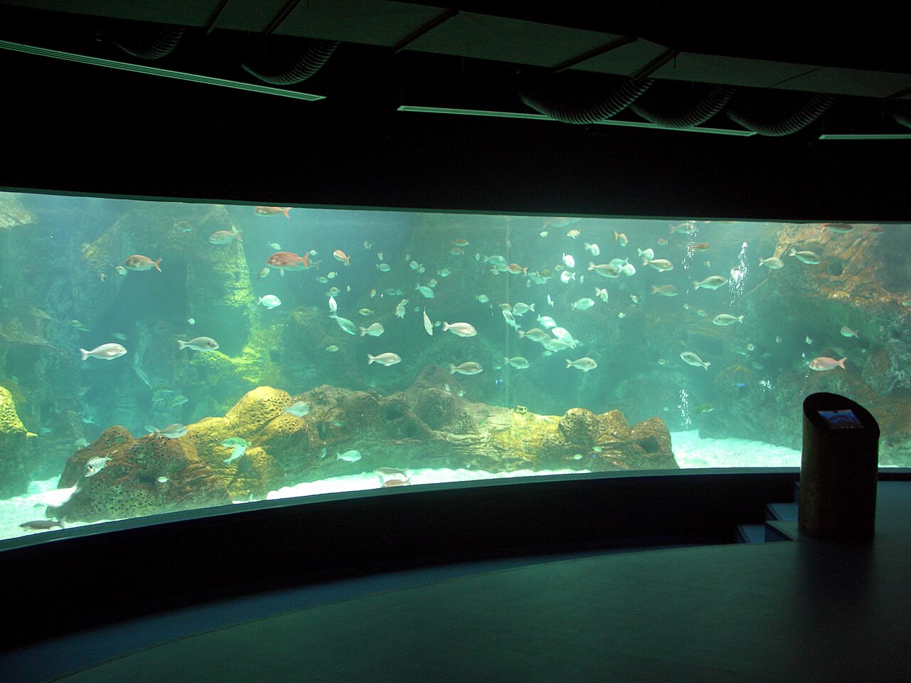 Large Mediterranean display tank at Cretaquarium (Thalassocosmos), Gournes — photo: Martin Belam / Wikimedia Commons